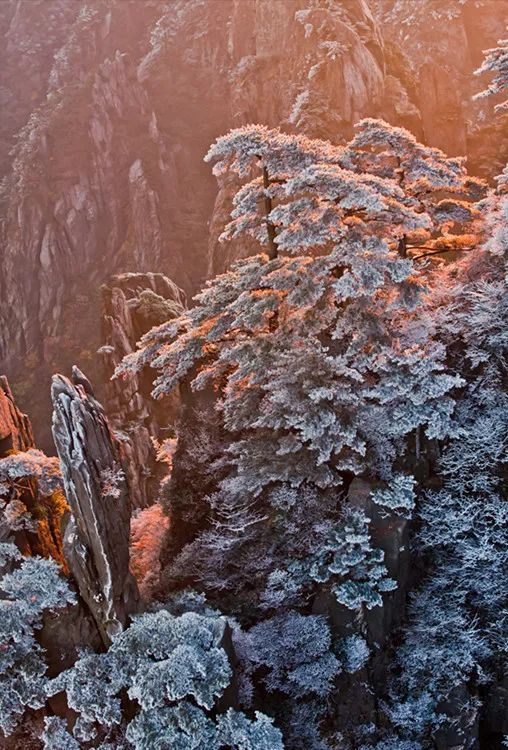 雪后黃山風(fēng)景宛如人間仙境，舞一曲雪中霓裳羽