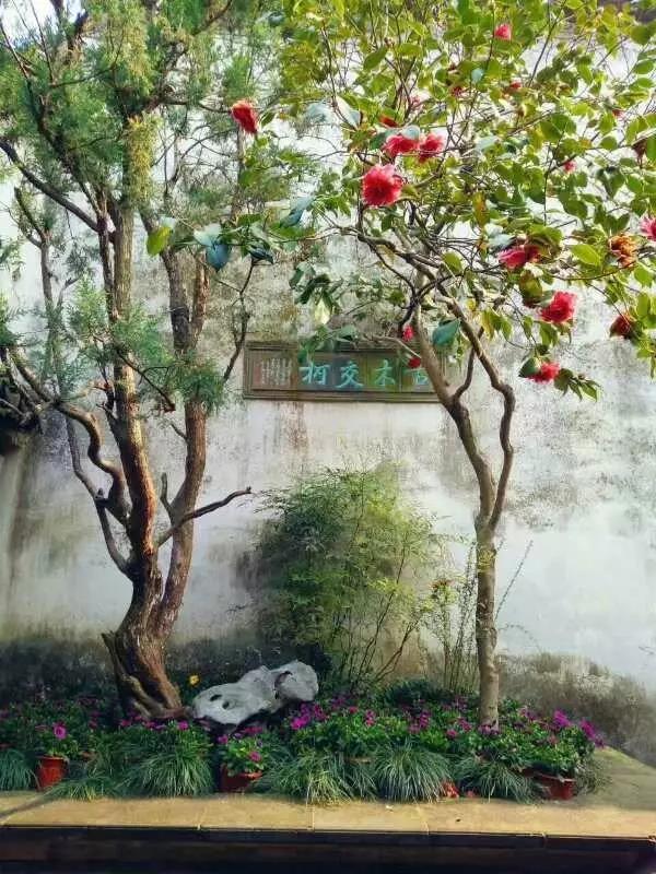 中國(guó)的四大名園，意想不到的風(fēng)景園林美!