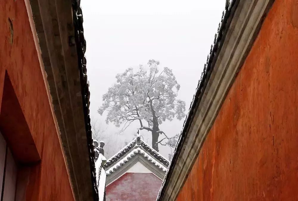 武當(dāng)山雪景攝影:雪后武當(dāng)是仙山