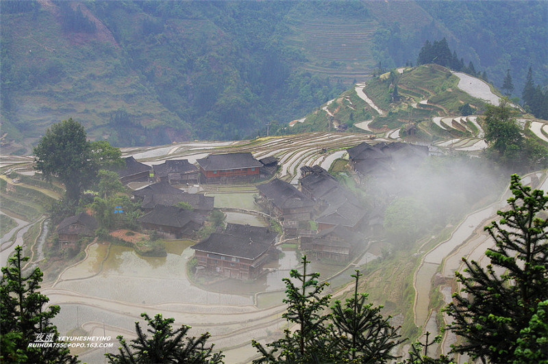 貴州苗寨梯田吊腳樓景色