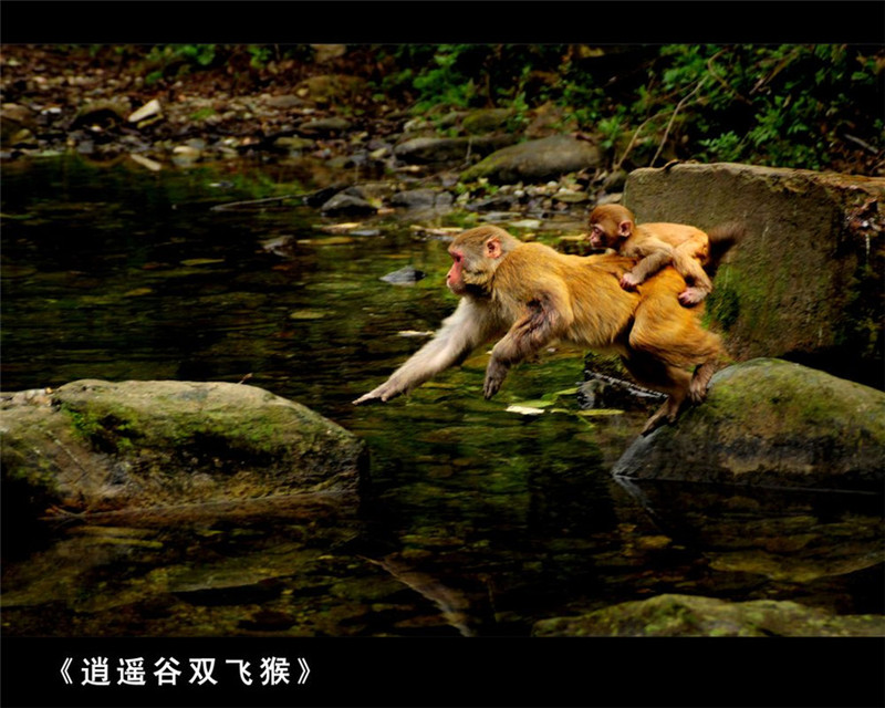 夏日的五岳之冠武當(dāng)山
