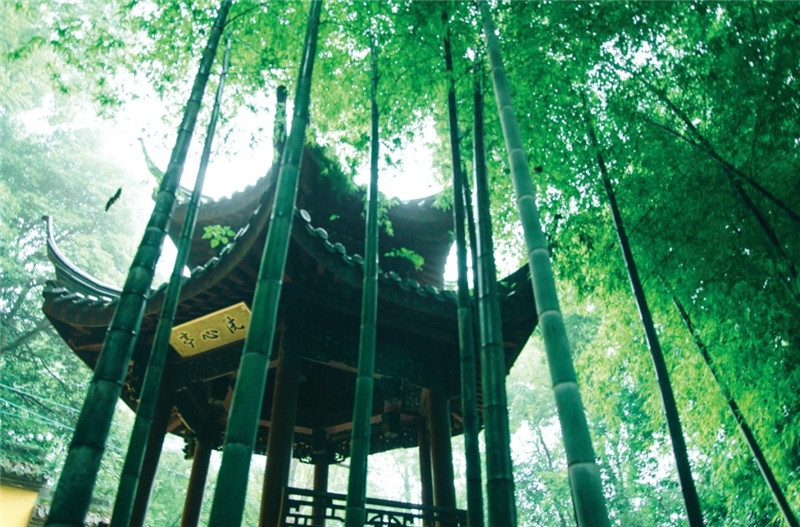 山中寺廟林間美景