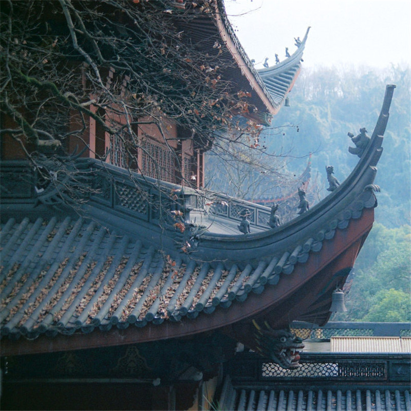 山中寺廟林間美景