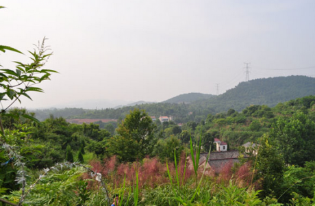 林彪祖墳風(fēng)水好嗎？揭秘林彪祖墳風(fēng)水