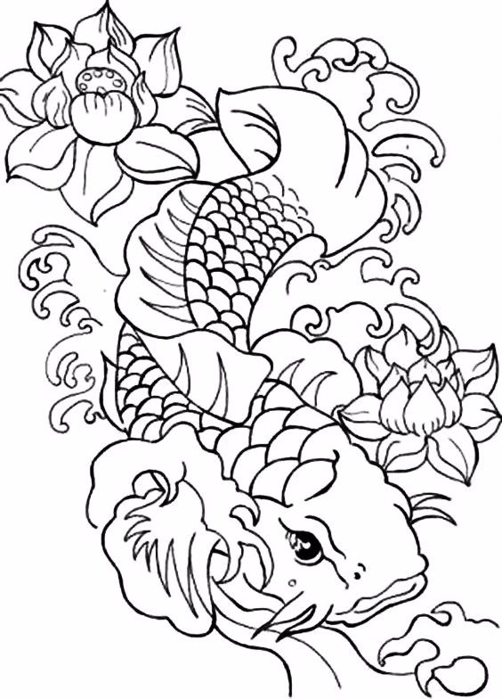 9幅白描畫《魚》：勾勒活靈活線的魚