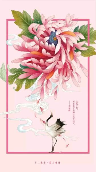 十二花令插畫圖片：以花為媒四季流轉(zhuǎn)