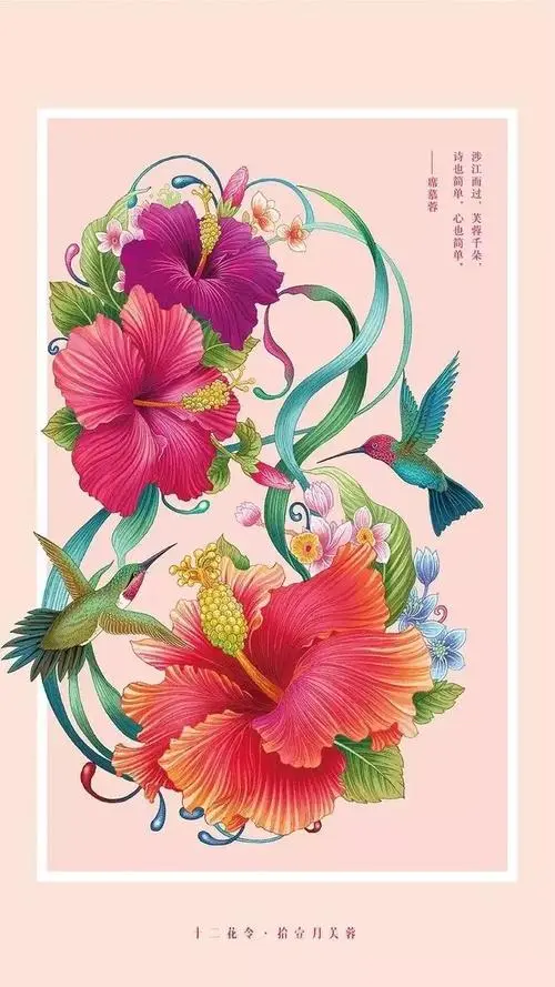 十二花令插畫圖片：以花為媒四季流轉(zhuǎn)