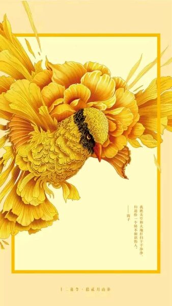 十二花令插畫圖片：以花為媒四季流轉(zhuǎn)