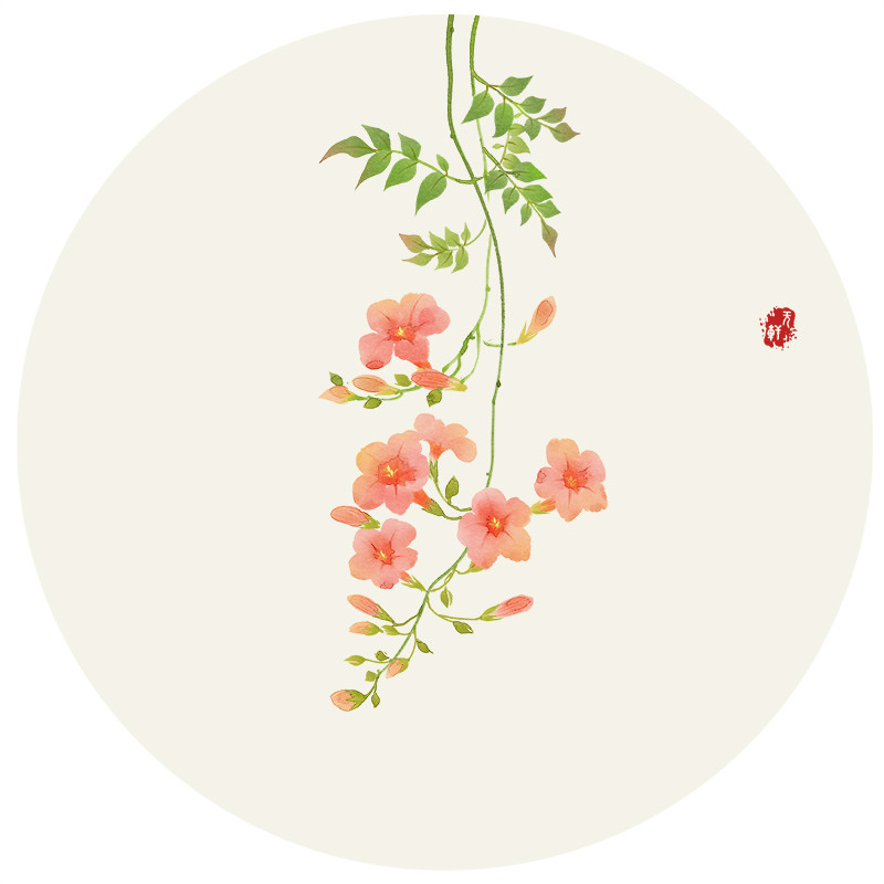 唯美花卉插畫(huà)圖片