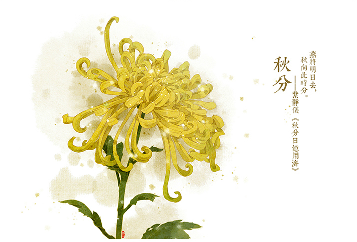 唯美的24節(jié)氣花卉插畫，品味古老的詩(shī)之清韻