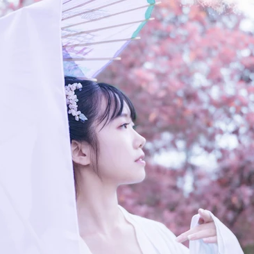 粉紫小清新帶團扇傘頭像，唯美古風真人頭像