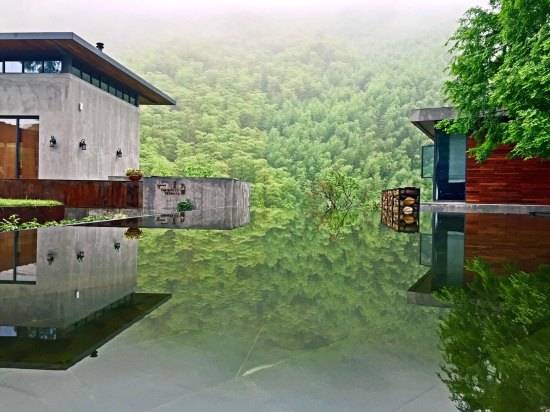 莫干山悠然九希，面朝竹海背向茶山的避暑圣地